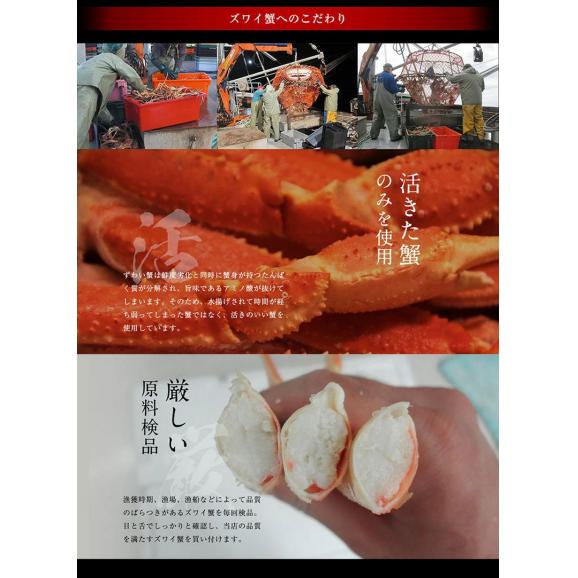 ボイル ずわい蟹 足 約2.5kg[解凍後約2kg]約5-7人前【送料無料/蟹/カニ/ズワイカニ/ずわいかに/ずわいがに/ズワイ蟹/蟹足/お中元/ギフト/ますよね】05