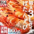 特大3Lサイズ厳選!!最高級ボタンエビ 500g【子持ちエビ/お刺身用/大きいエビ/大きい海老/ぼたんえび/ボタンエビ/ボタン海老/送料無料/ますよね】