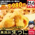 【3月の月間セール】チリ産最上級Aグレード厳選 ミョウバン不使用 無添加生うに 300g(100g×3p) ブランチング処理【ウニ/雲丹/海鮮丼/寿司/お歳暮/ギフト/送料無料/ますよね】