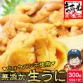 チリ産最上級Aグレード厳選 ミョウバン不使用 無添加生うに 300g(100g×3p) ブランチング処理【ウニ/雲丹/海鮮丼/寿司/ギフト/送料無料/ますよね】