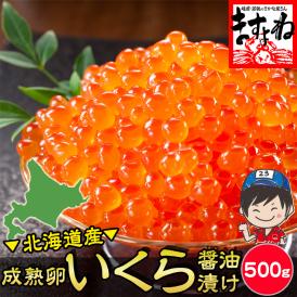 嬉しいたっぷり仕様♪北海道産 天然いくら醤油漬け500g（イクラ丼たっぷり約6杯分）【いくら/イクラ/しょうゆ漬け/成熟卵使用/父の日/お中元/ギフト/送料無料/ますよね】]