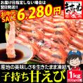 《お中元セール》【福井越前産】お刺身用 子持ち甘えび 1kg(500g×2) 約70尾-80尾 酸化防止剤.添加物不使用【子持ち甘エビ/甘えび/甘海老/ギフト/送料無料/ますよね】