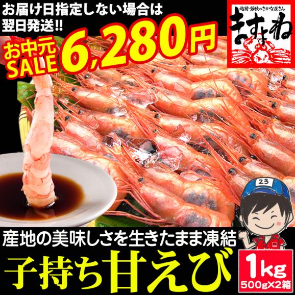 《お中元セール》【福井越前産】お刺身用 子持ち甘えび 1kg(500g&times;2) 約70尾-80尾 酸化防止剤.添加物不使用【子持ち甘エビ/甘えび/甘海老/ギフト/送料無料/ますよね】01