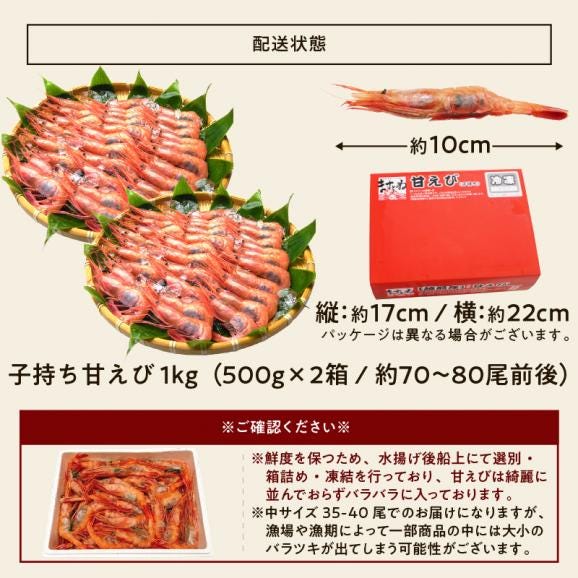 【メガ盛り1kg】酸化防止剤.添加物不使用【日本海産】お刺身用 子持ち甘えび(500g×2)約70尾-80尾【家飲み/子持ち甘エビ/甘えび/甘海老/ギフト/送料無料/ますよね】06
