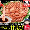 【福井県越前産】お刺身用 子なし甘えび 1kg(500g×2) 約80尾 (訳ありサイズ不揃い) 酸化防止剤.添加物不使用【父の日/ギフト/甘エビ/甘海老/送料無料/ますよね】