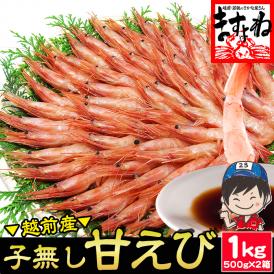 【メガ盛り1kg】酸化防止剤.添加物不使用【福井県越前産】お刺身用 子なし甘エビ (500g×2)約80尾(訳ありサイズ不揃い)【ギフト/甘えび/甘海老/送料無料/ますよね】
