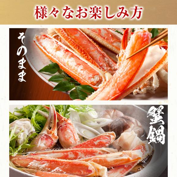 旨茹で＆殻むき簡単！特殊カット済み茹で本ズワイ蟹 中盛り600g（総重量800g)【ボイルずわい蟹/ずわいかに/ずわい蟹/ズワイガニ/お中元/ギフト/ますよね/送料無料】05