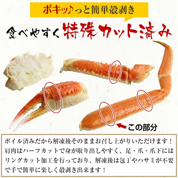 旨茹で＆殻むき簡単！特殊カット済み茹で本ズワイ蟹特盛り1.8kg(600g×3箱)（総重量2.4kg)【蟹/ずわいかに/ずわい蟹/ズワイガニ/ますよね/送料無料】03