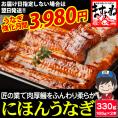 《うなぎ強化月間》特大にほんうなぎ 蒲焼き 約330g(約165g×2尾)[台湾産] (タレ･山椒付)【鰻/ウナギ/ギフト/プレゼント/お中元/土用の丑の日/送料無料/ますよね】