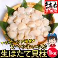 【刺身でも食べられる】生ホタテ貝柱 1kg前後 (小粒 60～90粒)【貝/刺身/帆立/ほたて/生ほたて/送料無料/ますよね】