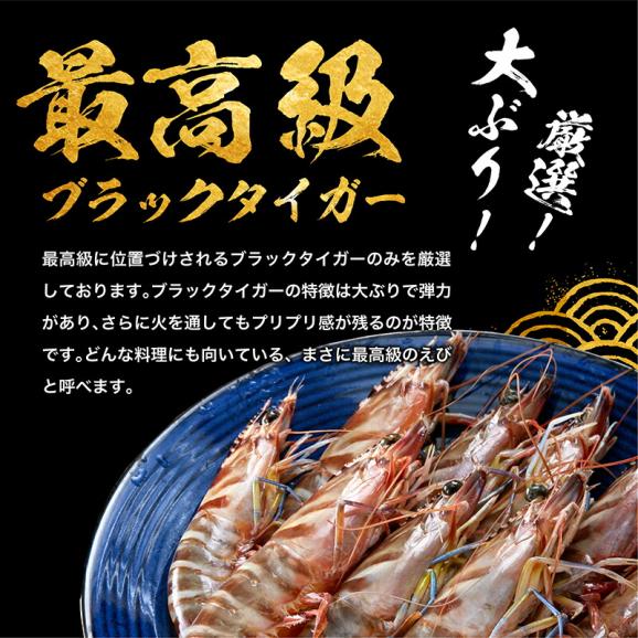 【高級ブラックタイガー使用】ぷりっぷり 特大むきえび 1kg(解凍後800g) 45-55尾入【エビ/海老/ムキエビ/剥きえび/エビマヨ/送料無料/BBQ/ギフト/父の日/お中元/ますよね】02