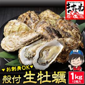 お刺身OK】兵庫県室津産 殻付き牡蠣 1kg前後(約12粒入) (冷凍