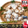 青森県 陸奥湾産 ボイル ベビーホタテ 大粒2L(解凍後生食OK) 1kg(61～80粒)【BBQ/貝/ほたて/帆立/ほたて貝/ギフト/送料無料/ますよね】