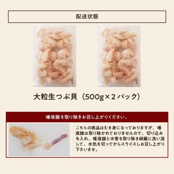 ＼お中元ギフトにおすすめ／【お刺身OK】大粒 生つぶ貝(むき身) 1kg(約500g×2袋)【BBQ/貝/ツブ貝/ツブガイ/ツブカイ/つぶかい/粒貝/海鮮/お中元/ギフト/送料無料/ますよね】06