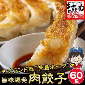 【“奇跡の豚”荒島ポーク使用】自家製 和風 肉餃子 60個 (約12人前) 国産原料使用※タレなし【ぎょうざ/ギョウザ/送料無料/ますよね】