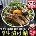 《期間限定セール》国産 生 漬けサバ さば漬け丼 5枚セット（100g～120g前後×5枚）【家飲み/おつまみ/漬け鯖/鯖漬け/鯖/刺身/海鮮/お歳暮/贈答/ギフト/送料無料/ますよね】