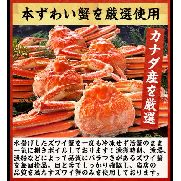 家庭用 訳あり ボイル 本ずわい蟹足 800g(総重量1kg)【送料無料/蟹/かに/カニ/ズワイカニ/ずわいがに/ずわいかに/ズワイ蟹/蟹足/ますよね】02