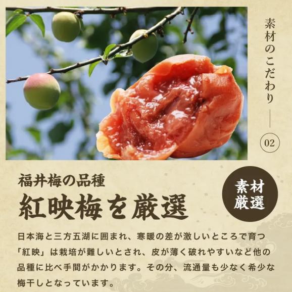 [訳あり] 無添加 つぶれ福井梅干し しそ味 900g(450g&times;2パック)【送料無料/シソ/うめぼし/ウメボシ/つぶれ梅/ますよね】04