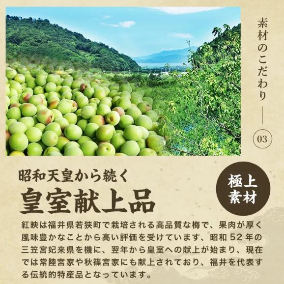 [訳あり] 無添加 つぶれ福井梅干し しそ味 900g(450g&times;2パック)【送料無料/シソ/うめぼし/ウメボシ/つぶれ梅/ますよね】05
