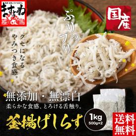 国産 無添加 釜揚げしらす 1kg(500g×2)【送料無料/シラス/白子/ちりめん/じゃこ/いわし/鰯/ギフト/ますよね】