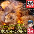 【2種から選べる】ホルモン焼き 810g-840g 6人前【小腸/大腸/シマチョウ/焼肉/BBQ/バーベキュー/ほるもん/肉/ギフト/送料無料/ますよね】