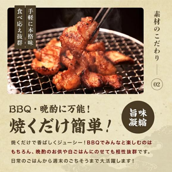 味噌たれ漬け ホルモン焼き 3袋入り 810g 6人前【小腸/大腸/シマチョウ/焼肉/BBQ/バーベキュー/ほるもん/肉/ギフト/お歳暮/送料無料/ますよね】05