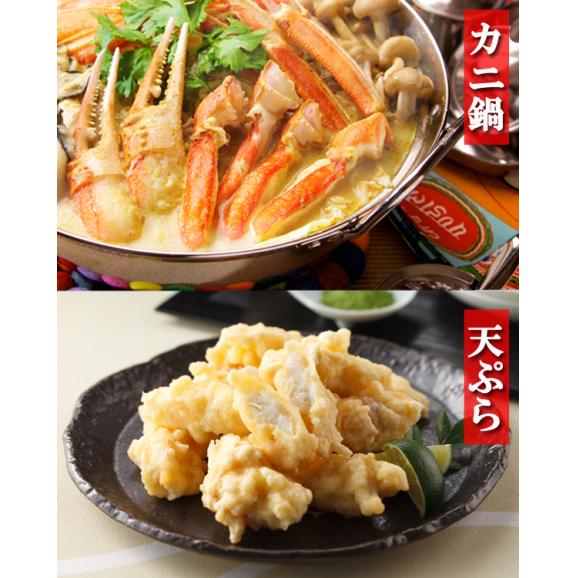 お刺身OK！特大3L カット済 生ずわい蟹 プレミアム 爪下ポーション1kg【BBQ/ズワイガニ/ずわいがに/かに/カニ/蟹/お中元/送料無料/ますよね】05