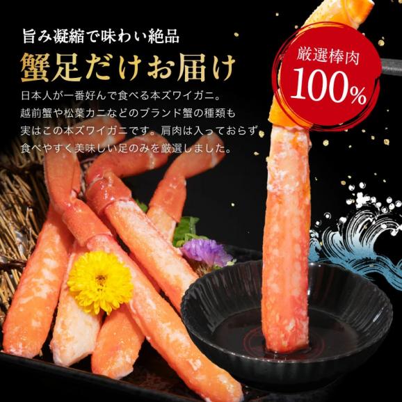 ＼父の日セール／【棒肉100％】ボイル 本ずわい蟹 棒肉ポーション 600g(300g×2P)【ズワイ蟹/ずわいがに/かに/蟹/焼蟹/ポーション/父の日/ギフト/送料無料/ますよね】02