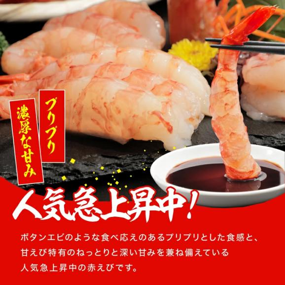 メガ盛★特大天然赤えび たっぷり2kg 約50～60尾入り (大型サイズ)【エビ/海老/赤エビ/赤海老/天ぷら/エビフライ/父の日/ギフト/送料無料/ますよね】02
