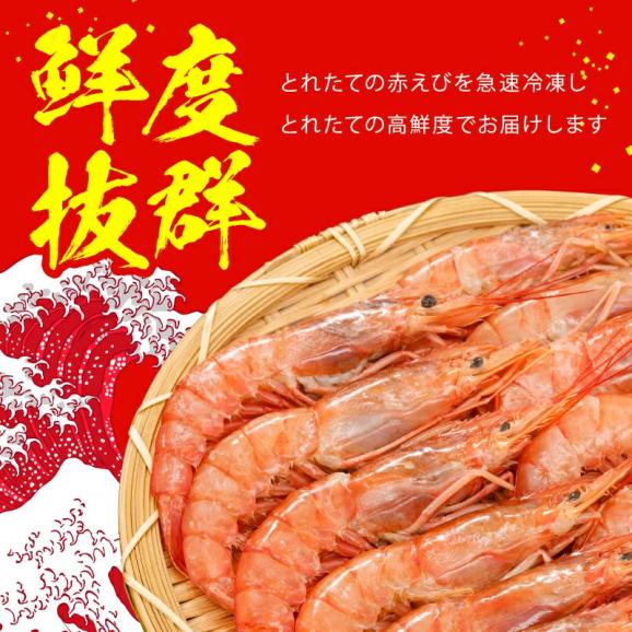 メガ盛 特大天然赤えび たっぷり2kg 約50～60尾入り (大型サイズ)【エビ/海老/赤エビ/赤海老/天ぷら/エビフライ/お中元/ギフト/送料無料/ますよね】04