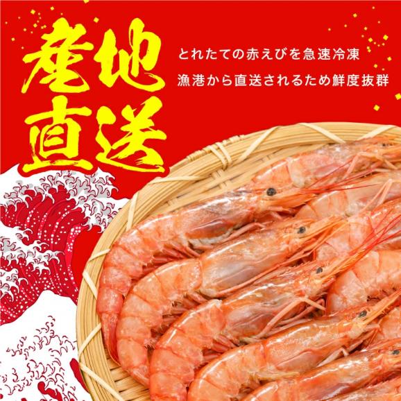 メガ盛★特大天然赤えび たっぷり2kg 約50～60尾入り (大型サイズ)【エビ/海老/赤エビ/赤海老/天ぷら/エビフライ/父の日/ギフト/送料無料/ますよね】04