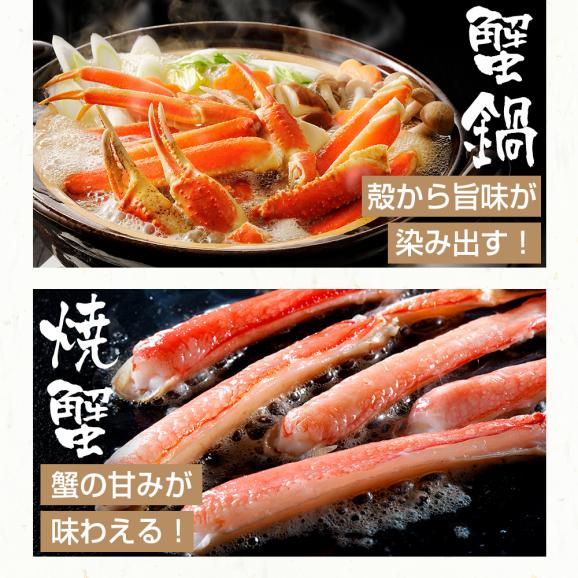 サイドカット済 生本ズワイガニ(総重量1kg/解凍後750g) 【送料無料/蟹/かに/カニ/ずわい蟹/鍋/ギフト/お刺身/お歳暮/ますよね】05