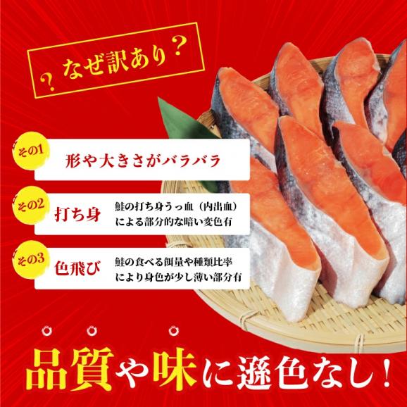 [3月下旬～4月上旬配送]訳あり 厚切り 銀鮭切り身 10切れ(1kg前後) 甘塩仕立て【さけ/サケ/しゃけ/切身/焼魚/お弁当/冷凍食品/訳有/送料無料/ますよね】02