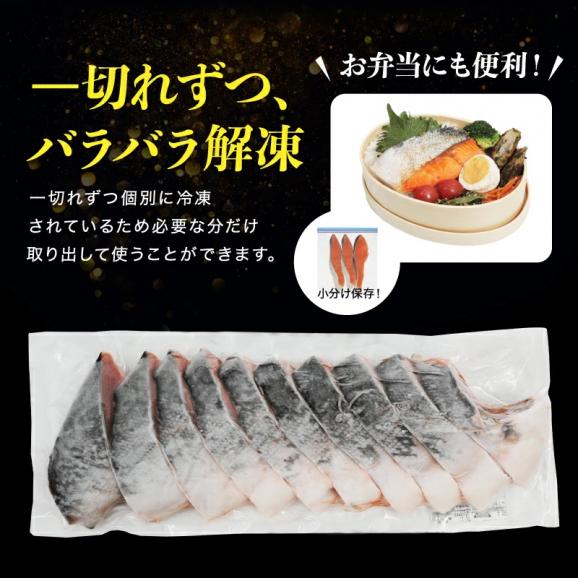 訳あり 厚切り 銀鮭切り身 10切れ(1kg前後) 甘塩仕立て【さけ/サケ/しゃけ/切身/焼魚/お弁当/冷凍食品/訳有/送料無料/ますよね】05