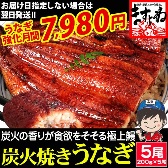 《うなぎ強化月間》［価格値下げ!!］本格 炭火焼き 我が家のうなぎ蒲焼き 計1kg(約200g&times;5尾)中国産 ISO認証 HACCP管理【鰻/ウナギ/土用の丑の日/お中元/ギフト/送料無料/ますよね】01