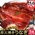 本格 炭火焼き 我が家のうなぎ蒲焼き 計1kg(約200g×5尾)[中国産] ISO認証 HACCP管理【鰻/ウナギ/土用の丑の日/お中元/ギフト/送料無料/ますよね】