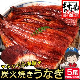 ★父の日特別5000円OFFクーポン配布中★本格 炭火焼き 我が家のうなぎ蒲焼き 計1kg(約200g×5尾)[中国産] ISO認証 HACCP管理【鰻/ウナギ/父の日/ギフト/送料無料/ますよね】