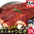 本格 炭火焼き 我が家のうなぎ蒲焼き 1.1kg(約220g×5尾)[中国産] (タレ･山椒付) HACCP管理【鰻/ウナギ/ギフト/土用の丑の日/お中元/送料無料/ますよね】