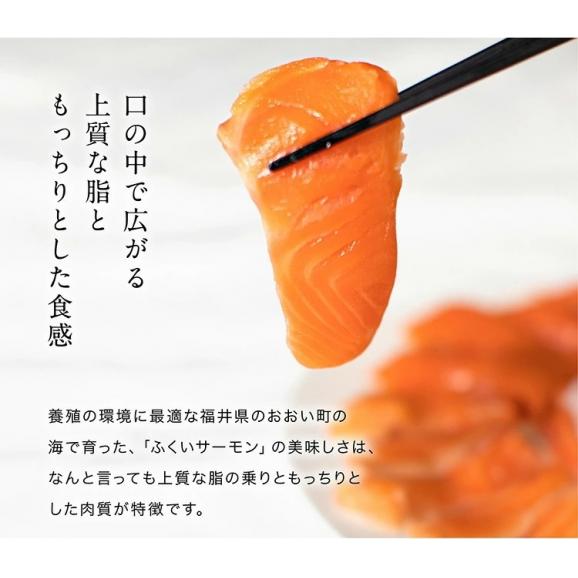 ふくいサーモン100％使用！サーモンお刺身セット 600g～700g 福井ブランド【刺身/寿司/サラダ/鮭/さけ/サケ/ギフト/送料無料/ますよね】02