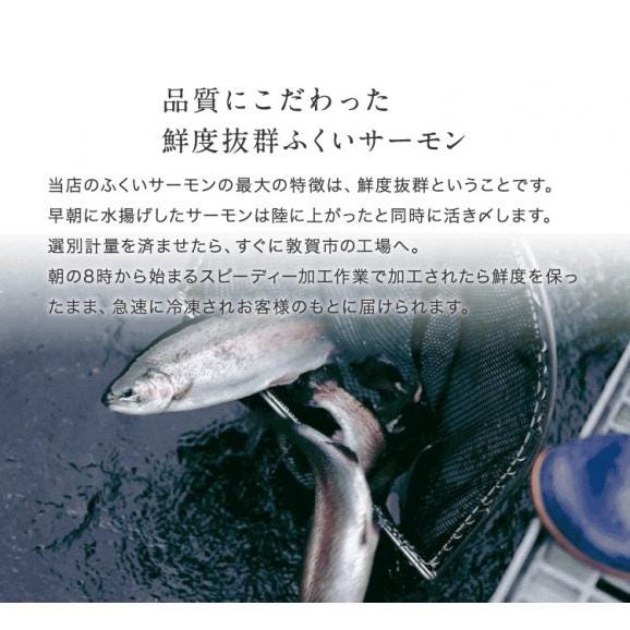 《期間限定セール》ふくいサーモン100％使用！サーモンお刺身セット 600g～700g 福井ブランド【刺身/寿司/サラダ/鮭/さけ/サケ/ギフト/送料無料/ますよね】03