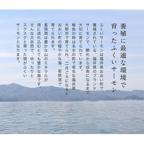 ふくいサーモン100％使用！サーモンお刺身セット 600g～700g 福井ブランド【刺身/寿司/サラダ/鮭/さけ/サケ/ギフト/送料無料/ますよね】03