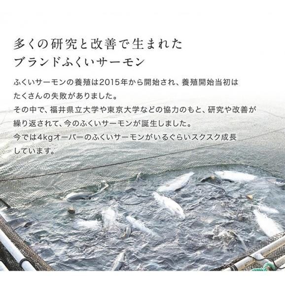 ふくいサーモン100％使用！サーモンお刺身セット 600g～700g 福井ブランド【刺身/寿司/サラダ/鮭/さけ/サケ/ギフト/送料無料/ますよね】04