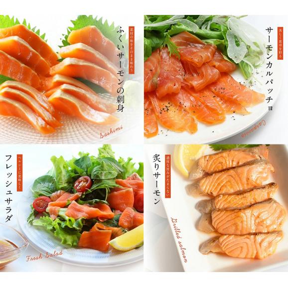 《期間限定セール》ふくいサーモン100％使用！サーモンお刺身セット 600g～700g 福井ブランド【刺身/寿司/サラダ/鮭/さけ/サケ/ギフト/送料無料/ますよね】05