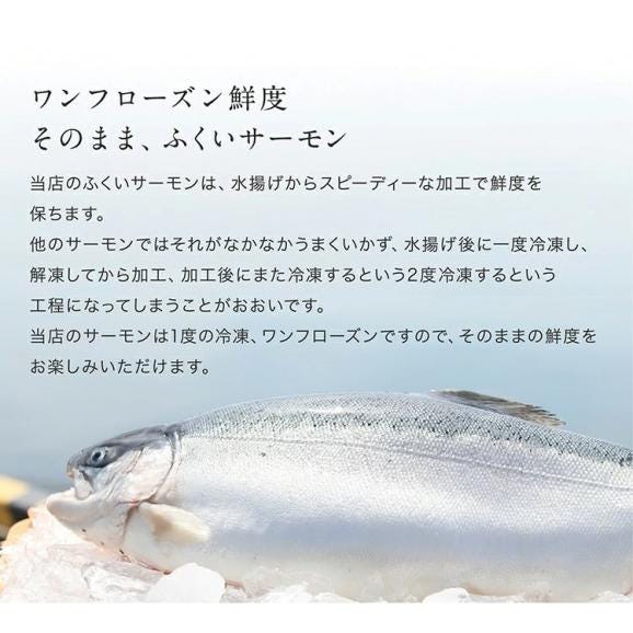 ふくいサーモン100％使用！サーモンお刺身セット 600g～700g 福井ブランド【刺身/寿司/サラダ/鮭/さけ/サケ/ギフト/送料無料/ますよね】05