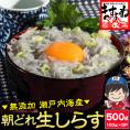瀬戸内海産 生しらす 500g(100g×5パック) 無添加 朝獲れ【シラス/しらす/お取り寄せ/父の日/ギフト/送料無料/ますよね】
