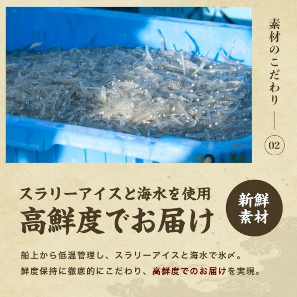 ＼お中元ギフトにおすすめ／瀬戸内海産 生しらす 500g(100g×5パック) 無添加 朝獲れ【シラス/しらす/お取り寄せ/お中元/ギフト/送料無料/ますよね】03