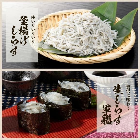 瀬戸内海産 生しらす 500g(100g×5パック) 無添加 朝獲れ【シラス/しらす/お取り寄せ/大とろ/イクラ/ウニ/ギフト/送料無料/ますよね】05