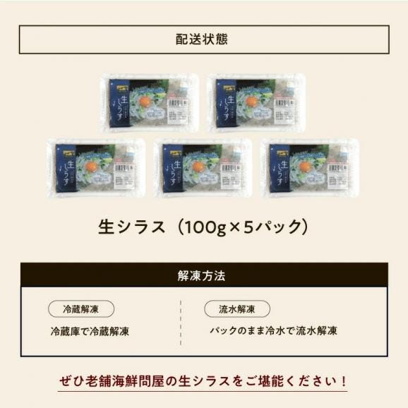 瀬戸内海産 生しらす 500g(100g×5パック) 無添加 朝獲れ【シラス/しらす/お取り寄せ/大とろ/イクラ/ウニ/ギフト/送料無料/ますよね】06
