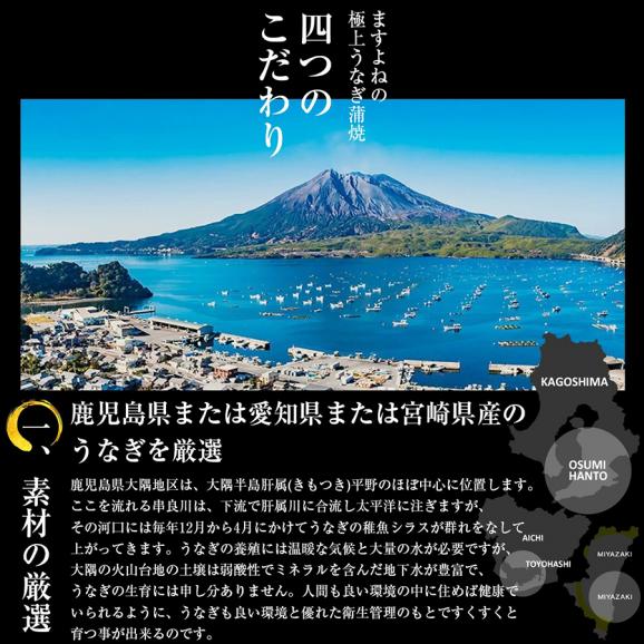 ＼父の日セール／【ギフト箱入り】国産 特大うなぎ蒲焼き 330g(約165g×2本) 鹿児島･愛知･宮崎県産【国産うなぎ/ウナギ/鰻/ウナギ蒲焼き/ギフト/送料無料/ますよね】03