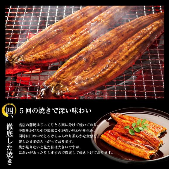 ＼父の日セール／【ギフト箱入り】国産 特大うなぎ蒲焼き 330g(約165g×2本) 鹿児島･愛知･宮崎県産【国産うなぎ/ウナギ/鰻/ウナギ蒲焼き/ギフト/送料無料/ますよね】05